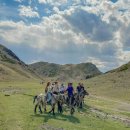 차강농장 이미지