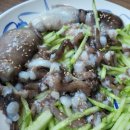 무안노들강 이미지