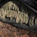 별뫼농장 이미지