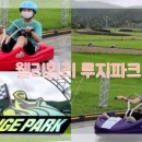 보사노바레포츠