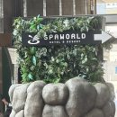 스파월드 이미지