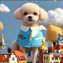 구미산동 애견미용 눈부시개 | 눈부시개/구미 산동애견미용/눈부시개/산동애견미용/눈부시개/옥계애견미용/산동애견놀이방/구미옥계...