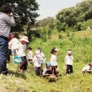 한벌초교 병설유치원 이미지