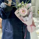 플로시아 이미지