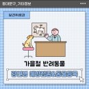 장평25시동물종합병원 | [기타] 2025년 가을철 광견병 예방접종 실시 및 동물등록 안내