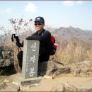 천자봉사우나 | 벚꽃 제일의 진해 장복산(582m)~웅산(653m) 산행