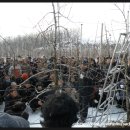 썬프러스 이미지