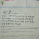 동래여자고등학교 Daum카페