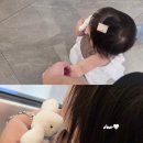 퍼피포유 이미지