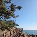 씨유울산진하해변점 | [울산/걷기] 해파랑길 4코스 완주 후기 (임랑~간절곶~진하) 🌊