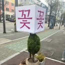 더솔체 | 잠실 꽃집 서울 꽃배달 솔체플라워 특별한 날을 더 빛나게 해주는 인생 꽃다발 맛집 방문 후기