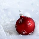 꿈의광장 이미지