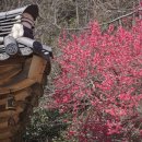 화엄사로 이미지