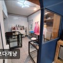 꽃보다개냥 네이버블로그