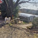 비전재가복지요양센터 이미지