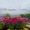 비슬산군립공원 Daum카페