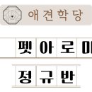 애견학당펫푸드전문학원 이미지