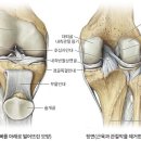 판교우리재활의학과의원 이미지