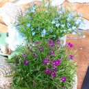 모나코펜션 이미지