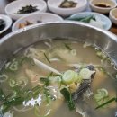 스트롱 플레닛 이미지