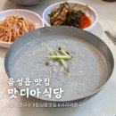 음성읍 콩국수 맛집 맛디아식당