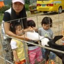 길원목장 이미지