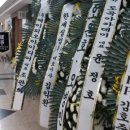 양평부안초 네이버블로그