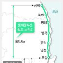 동해중부선 - 강원도 삼척시 임원역 반경 500m 이내 단독필지 이미지