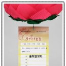승가원자비복지타운자비마을 이미지