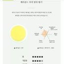 메리골드shop 이미지