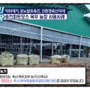 낙우농장 네이버블로그