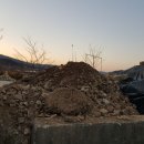 자갈농장 이미지