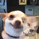 도봉-도봉-2085 | 해피 1000일