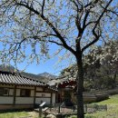 실상사 위토개량성책 이미지