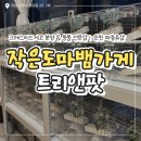 자동차용품전문샵 | [순천 도마뱀] 작은도마뱀가게 트리앤팟, 크레스티드게코 분양 & 용품 전문샵 후기