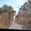 하성상회 이미지