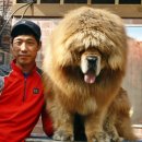 짱오농장 이미지