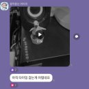 꽃PC | [바피] 캡컷 앱 + PC버전 영상편집 4월 비타조쌤×IT기버희쌤 1주차 강의후기/편집실습미션