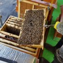 봉이농장 이미지