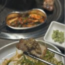육화백