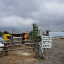 보다더동물농장 이미지