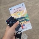 다행다복 | 2024 가을 궁중문화축전 '아침 궁을 깨우다' 2회차 '다행다복 창덕궁 문양산책' 후기