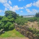 센텀제주영어교육도시공인중개사사무소 이미지