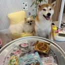 멍프레시 이미지