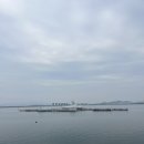 돈마켓 | 목포 평화광장 맛집 고기집 추천 심돈 모둠한판구이 솔직후기