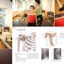 메디시스템 이미지