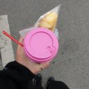 승주우체국 화장실 | 11월 마지막