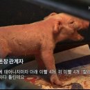 스페샬돼지