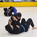 킹덤주짓수 네이버블로그