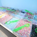 엔젤히트슬라임멀티�� 이미지